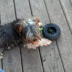 Meet your Posher, Becky